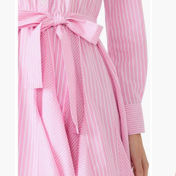 NWOT Steve Madden Lorelei Stripe Tie Waist Long Sleeve Minidress - Picture 4 of 6